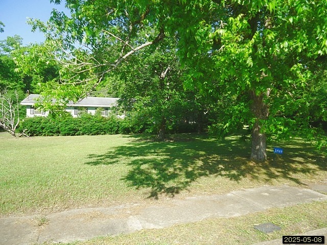 1469 Wall St, Richland, GA 31825 - view of green lawn