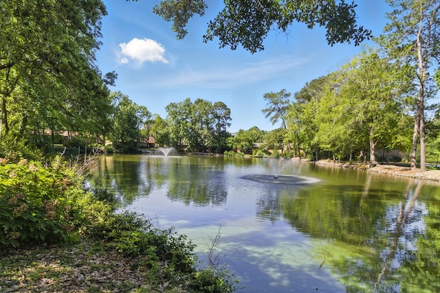 2525 Norris Rd Unit 106, Columbus, GA 31907 - water view