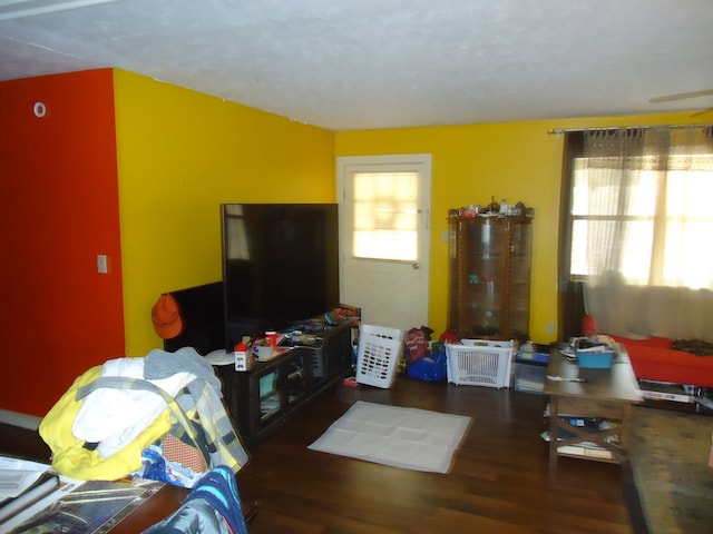 living room with dark hardwood / wood-style flooring