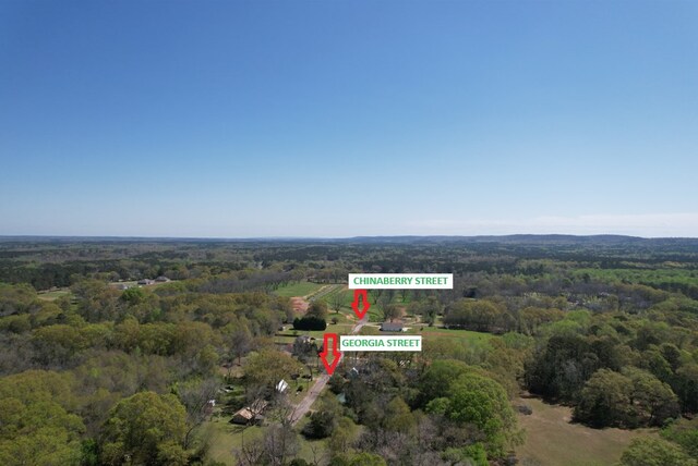 LOT22 Chinaberry St, Pine Mountain, GA 31822 - photo 3