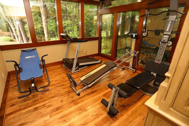 exercise area featuring light hardwood / wood-style flooring