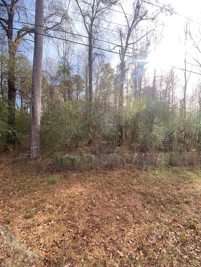 Listing photo 2 for LOT81 Woodland Dr, Cataula GA 31804