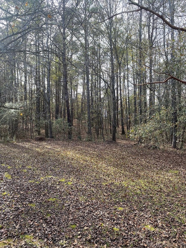 Listing photo 3 for LOT81 Woodland Dr, Cataula GA 31804