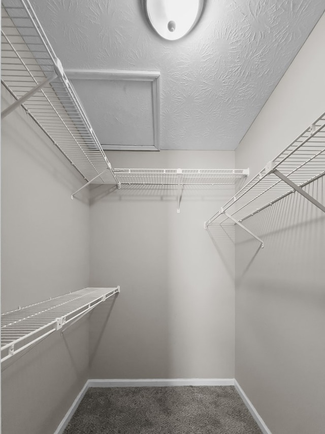 spacious closet featuring carpet flooring