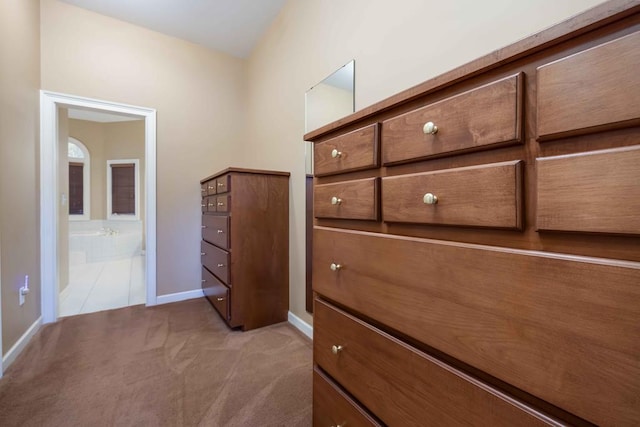 walk in closet with carpet floors