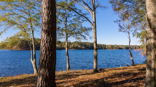 water view with a wooded view