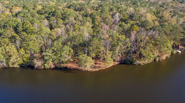 bird's eye view with a wooded view and a water view