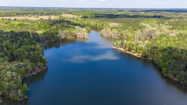 aerial view with a water view and a wooded view