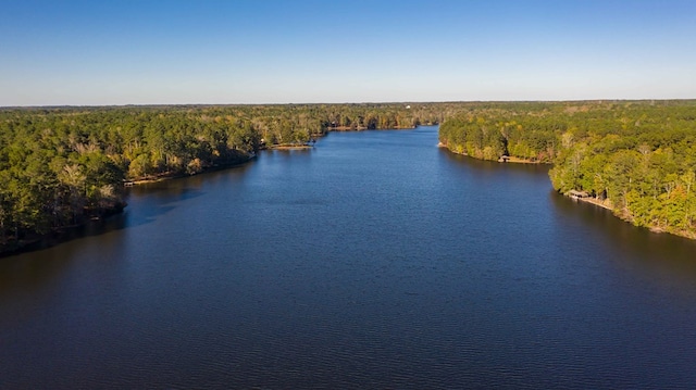 aerial view featuring a forest view and a water view