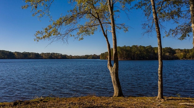 water view featuring a view of trees