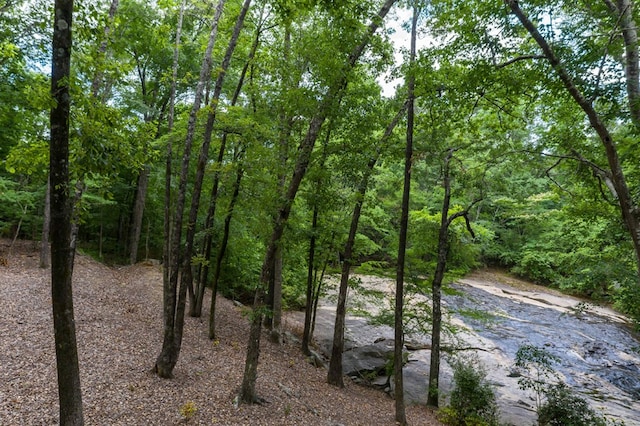 view of nature featuring a forest view