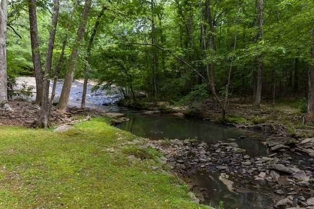 view of water feature with a view of trees