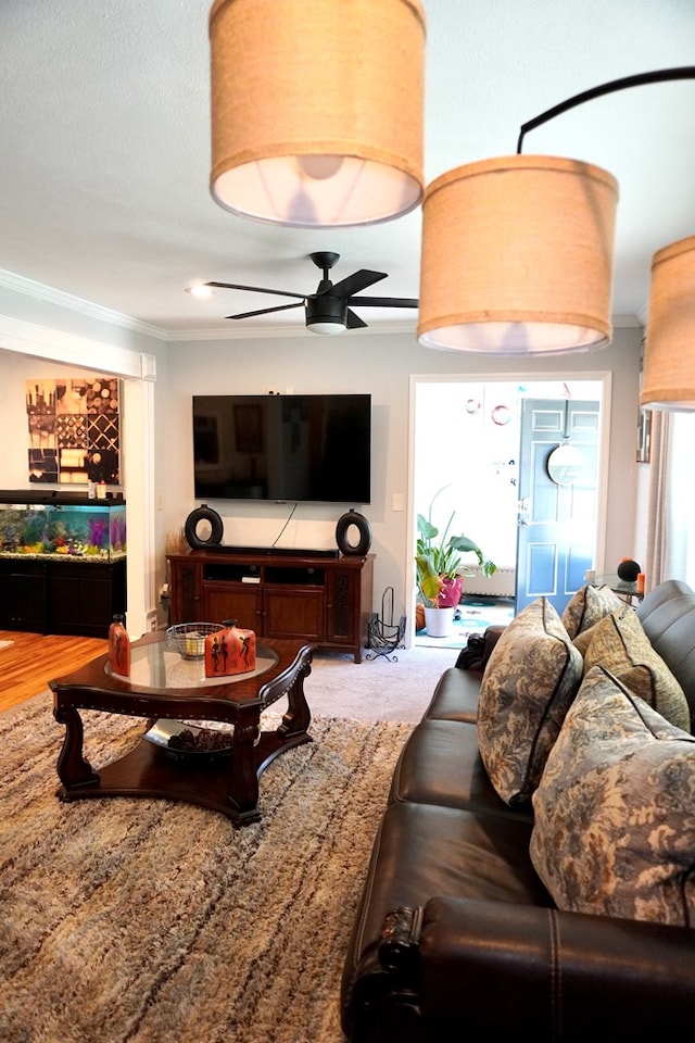 404 19th Ave, Phenix City, AL 36869 - living room with crown molding and ceiling fan