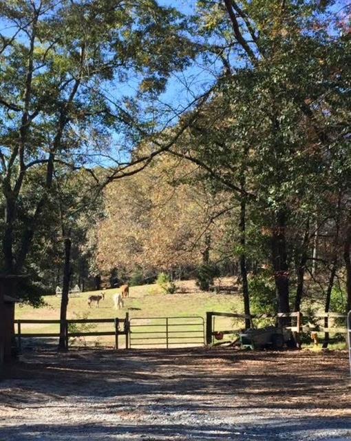 6601 Psalmond Rd, Midland, GA 31820