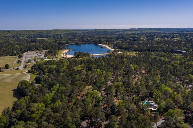 2387 Cedar Ln, Pine Mountain, GA 31822 - view of property location with a heavily wooded area and a large body of water