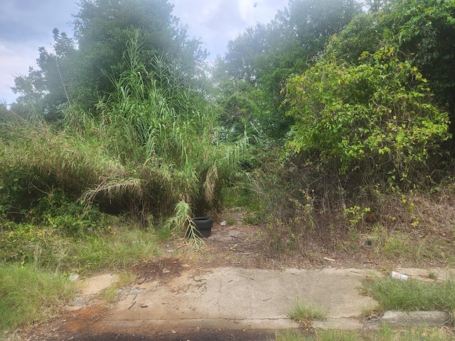 2002 3rd Ave, Columbus GA, 31901 land for sale