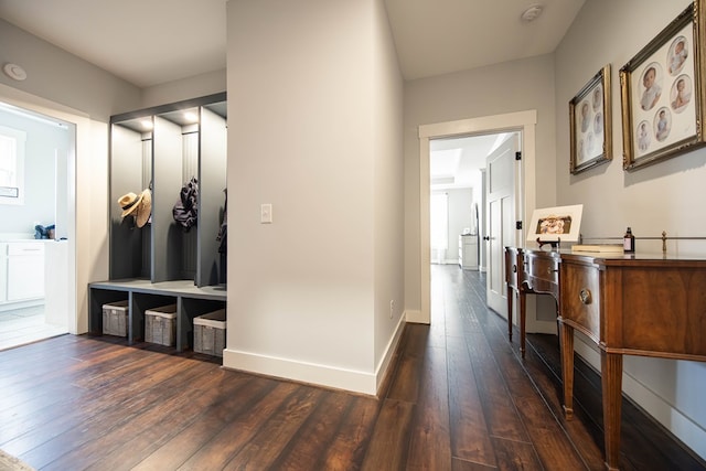 mudroom featuring dark wood-type flooring