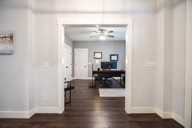 office space featuring dark hardwood / wood-style floors and ceiling fan