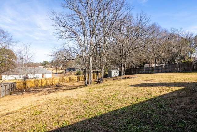 view of yard with a storage shed