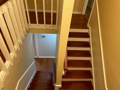 staircase featuring wood-type flooring