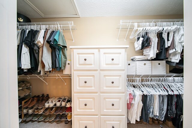 813 Crockett Dr, Columbus, GA 31904 - spacious closet with carpet floors