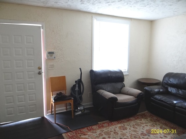 living room featuring a textured ceiling