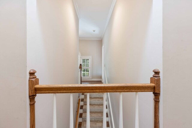 5110 Midland Trce, Columbus, GA 31820 - stairs featuring ornamental molding