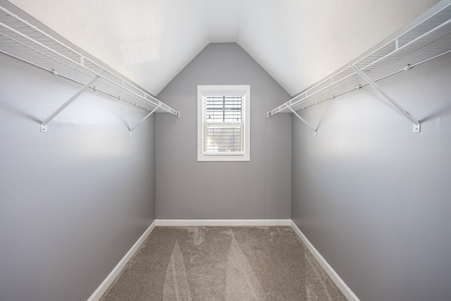 spacious closet featuring vaulted ceiling and carpet