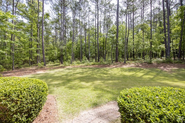 3450 Mckee Rd, Upatoi, GA 31829 - view of green lawn