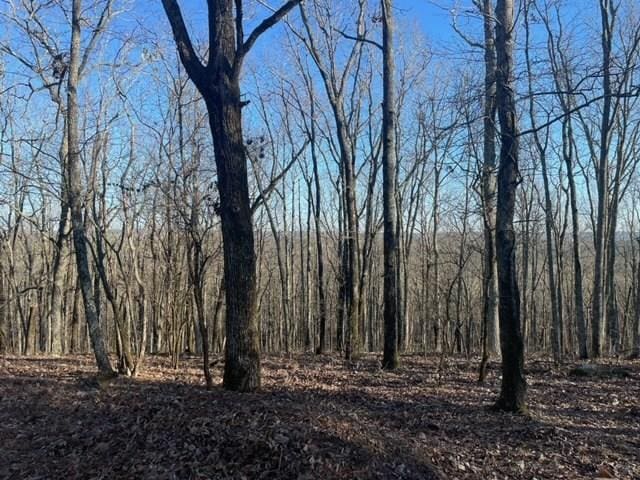 00LOT4 Mountain Ridge Dr, Talbotton, GA 31831 - photo 10