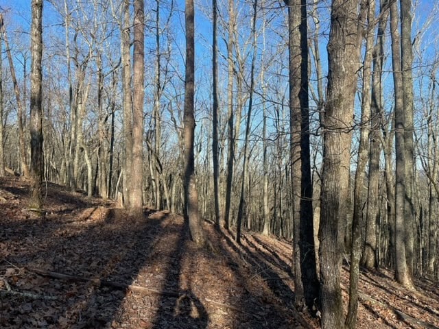 00LOT4 Mountain Ridge Dr, Talbotton, GA 31831 - photo 2