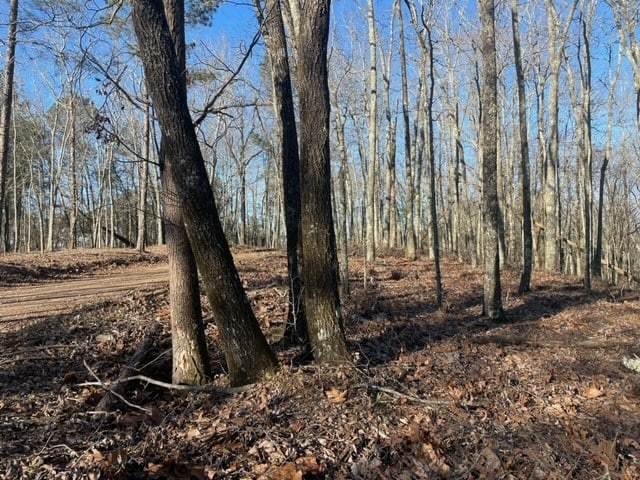00LOT4 Mountain Ridge Dr, Talbotton, GA 31831 - photo 6