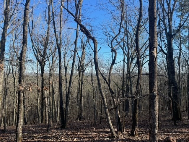 00LOT4 Mountain Ridge Dr, Talbotton, GA 31831 - photo 3