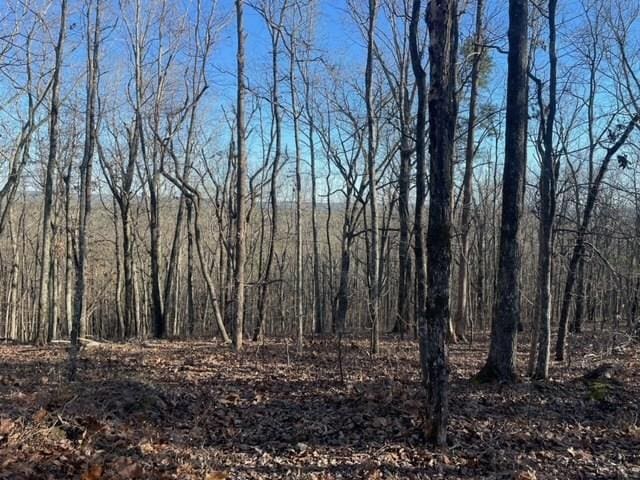 00LOT4 Mountain Ridge Dr, Talbotton, GA 31831 - photo 12