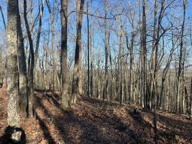 00LOT4 Mountain Ridge Dr, Talbotton, GA 31831 - photo 9