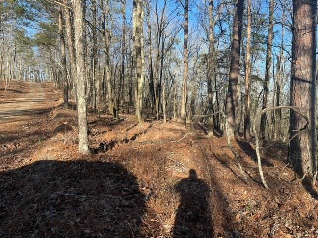 00LOT4 Mountain Ridge Dr, Talbotton, GA 31831 - photo 11