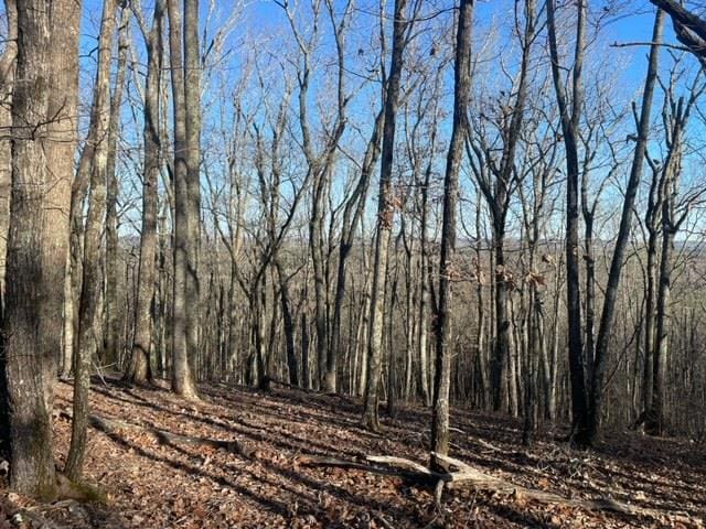 00LOT4 Mountain Ridge Dr, Talbotton, GA 31831 - photo 1