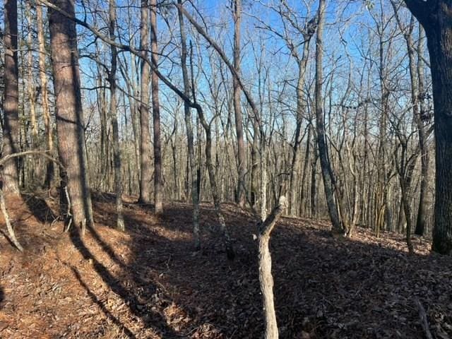 00LOT4 Mountain Ridge Dr, Talbotton, GA 31831 - photo 8