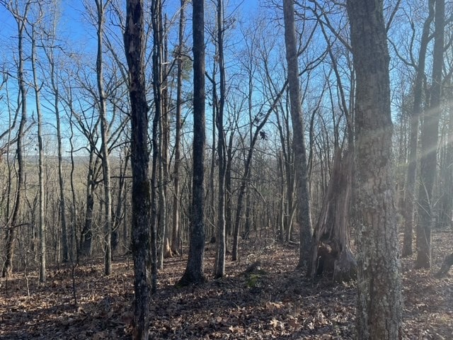 00LOT4 Mountain Ridge Dr, Talbotton, GA 31831 - photo 7