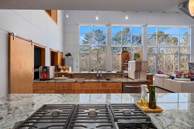 kitchen with plenty of natural light, light stone counters, and stainless steel appliances