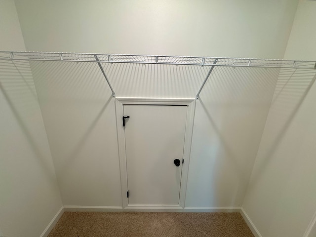 spacious closet featuring light carpet