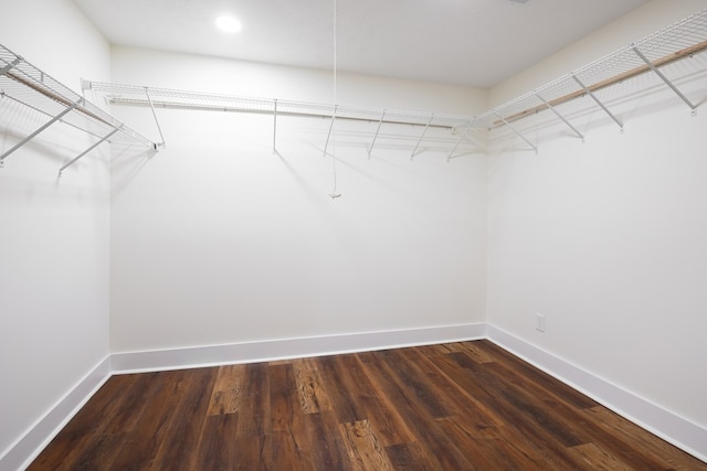 spacious closet featuring dark wood-type flooring