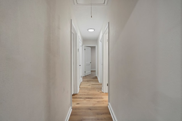 1474 Brewer Ave, Columbus, GA 31903 - hall featuring light hardwood / wood-style flooring