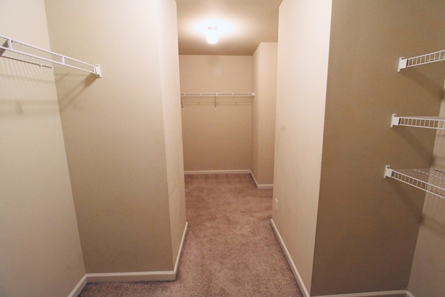 walk in closet with carpet floors