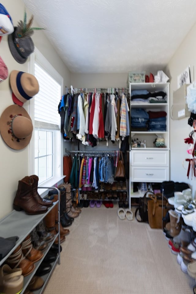 walk in closet featuring carpet