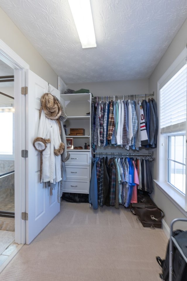 walk in closet with light colored carpet