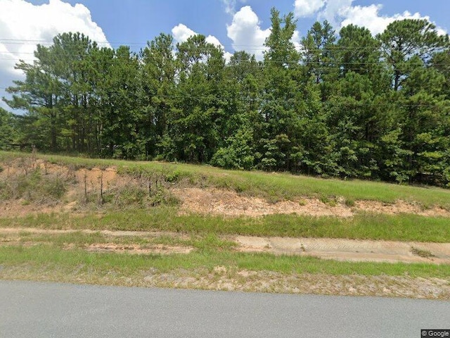 5318 Columbus Hwy, Box Springs GA, 31801 land for sale