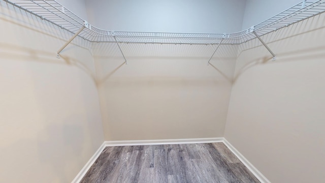 walk in closet with wood finished floors
