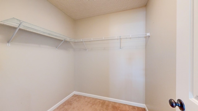 650 Upland Ct, Columbus, GA 31907 - spacious closet featuring light carpet