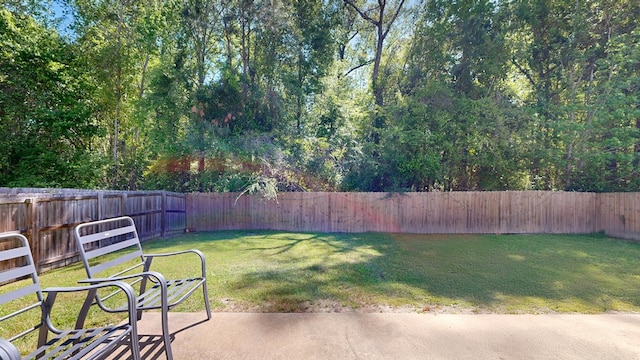 650 Upland Ct, Columbus, GA 31907 - view of yard
